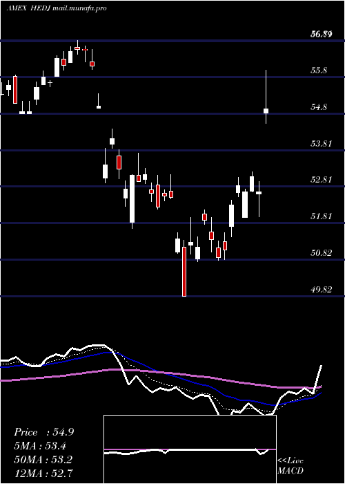  Daily chart IntlHedged