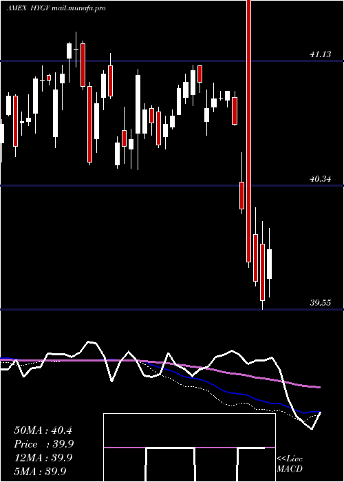  weekly chart FlexsharesHigh