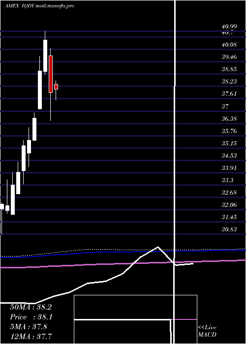  monthly chart FlexsharesInternational