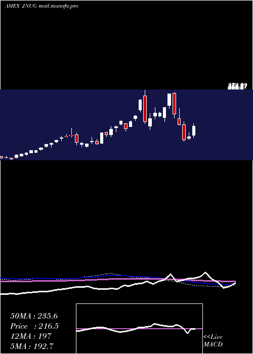  weekly chart DirexionDaily