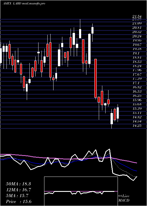  Daily chart DirexionDaily
