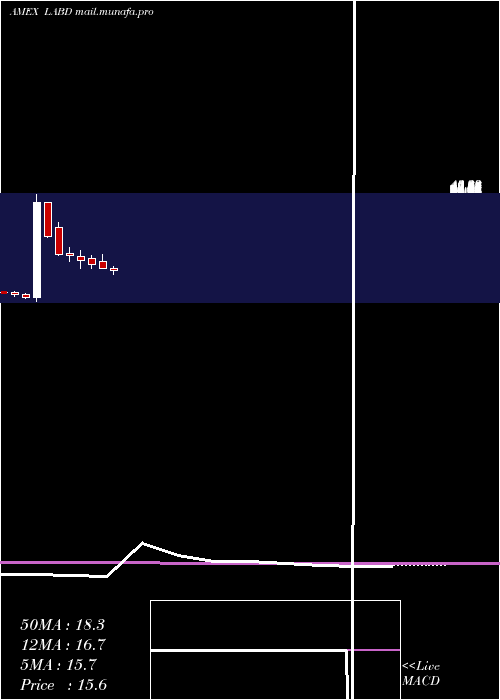  monthly chart DirexionDaily
