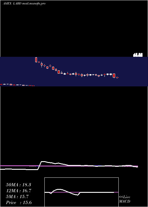  weekly chart DirexionDaily