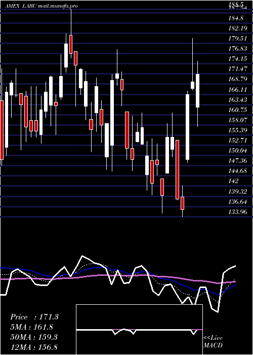  Daily chart DirexionDaily