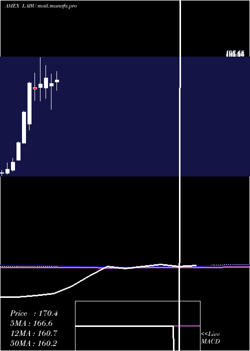  monthly chart DirexionDaily