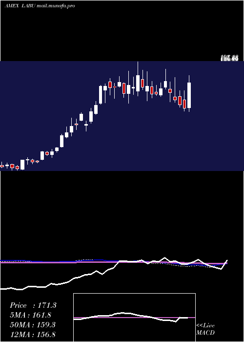  weekly chart DirexionDaily