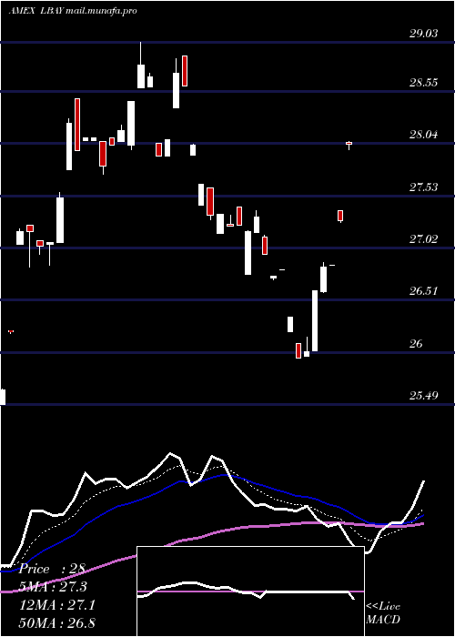  Daily chart LeatherbackLong