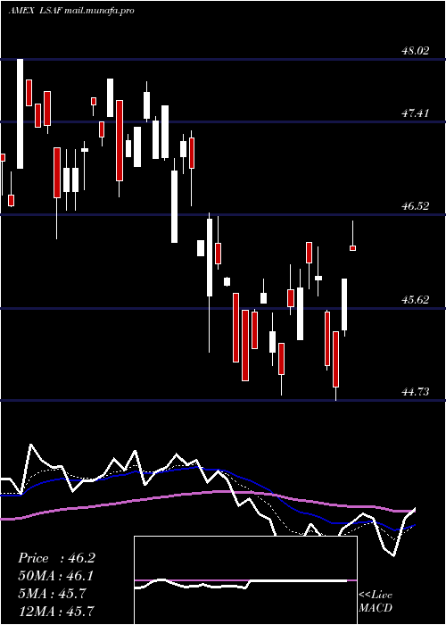  Daily chart LeadersharesAlphafactor