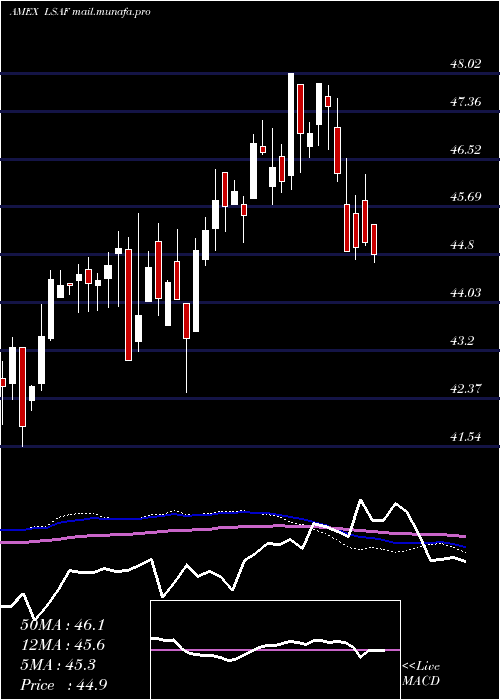 weekly chart LeadersharesAlphafactor