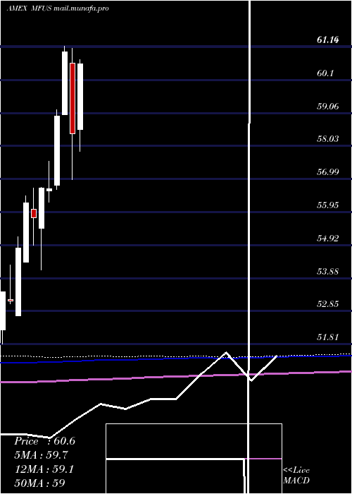  monthly chart PimcoRafi