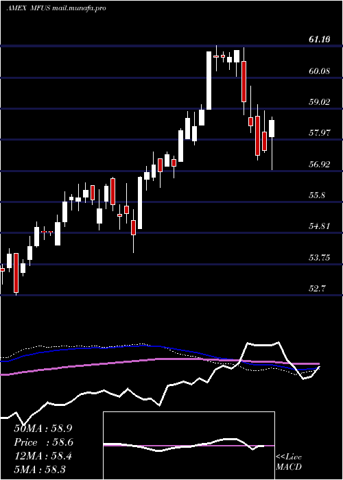  weekly chart PimcoRafi