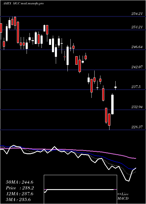  Daily chart Megacap300