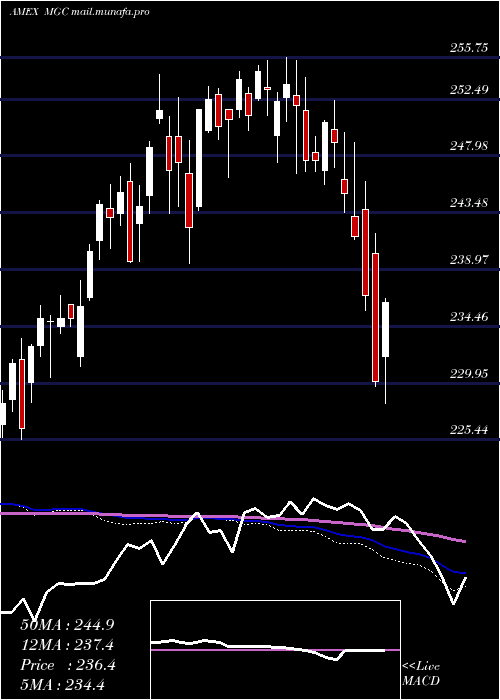  weekly chart Megacap300