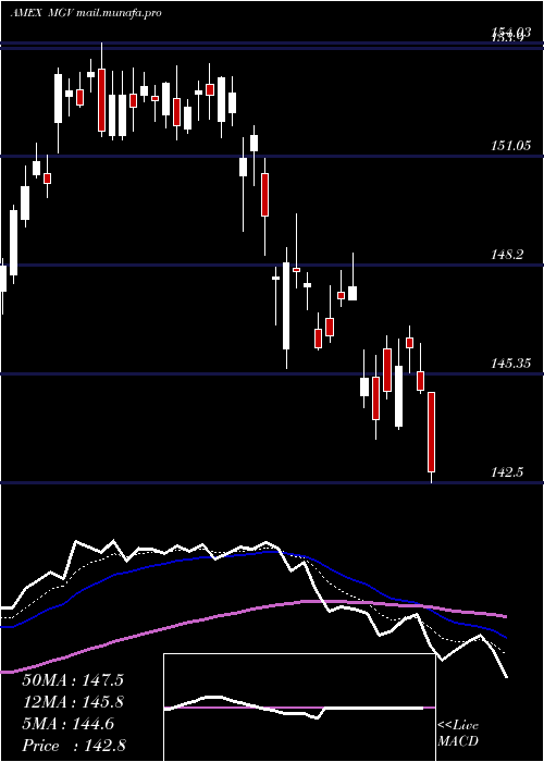  Daily chart Megacap300