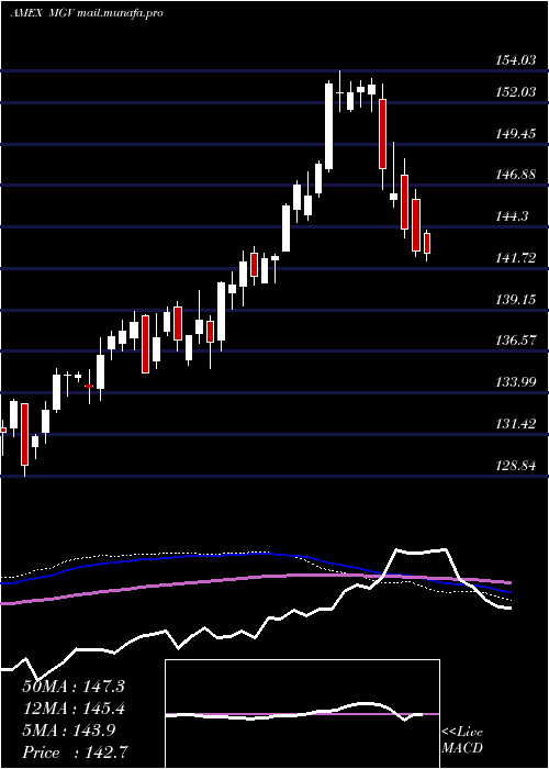  weekly chart Megacap300