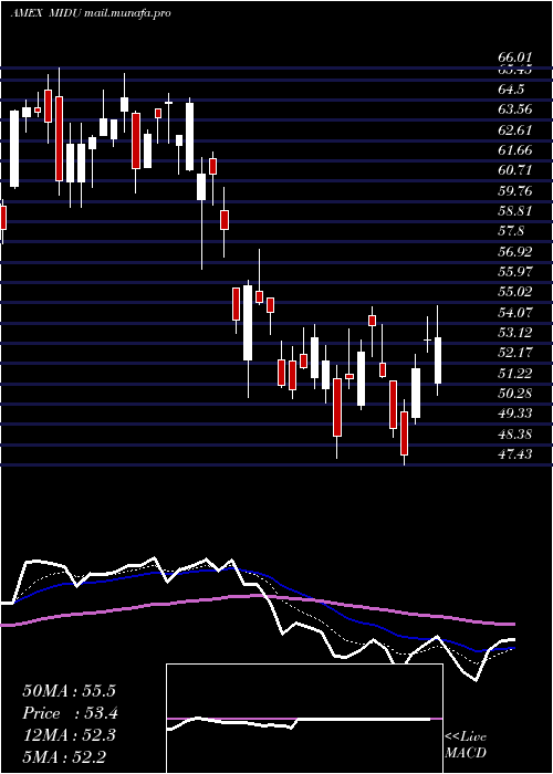  Daily chart DirexionDaily