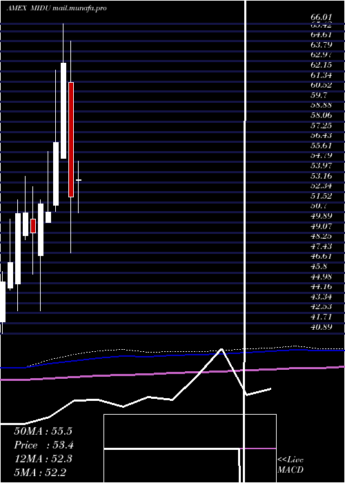  monthly chart DirexionDaily