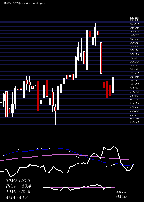  weekly chart DirexionDaily