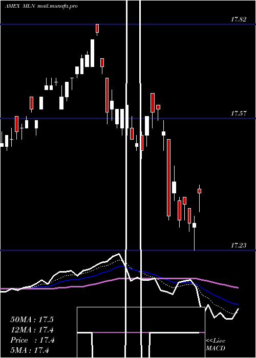  Daily chart LongMunicipal