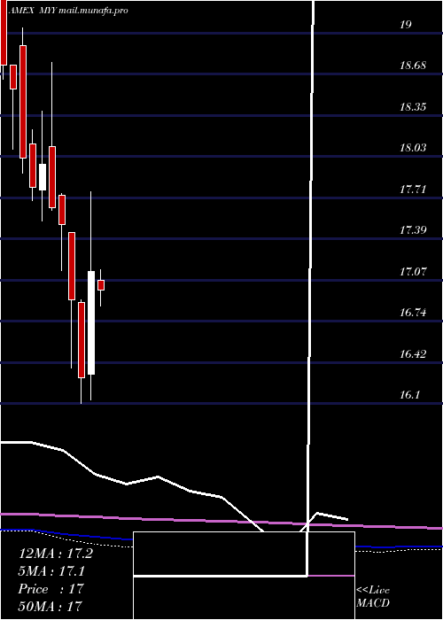  monthly chart ShortMidcap