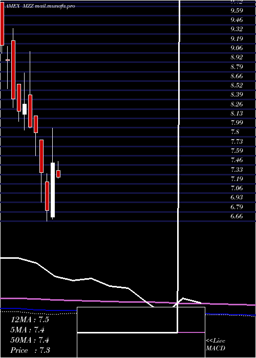  monthly chart UltrashortMidcap400