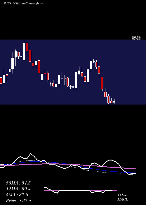  weekly chart DirexionDaily