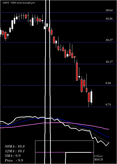  Daily chart NeubergerBerman