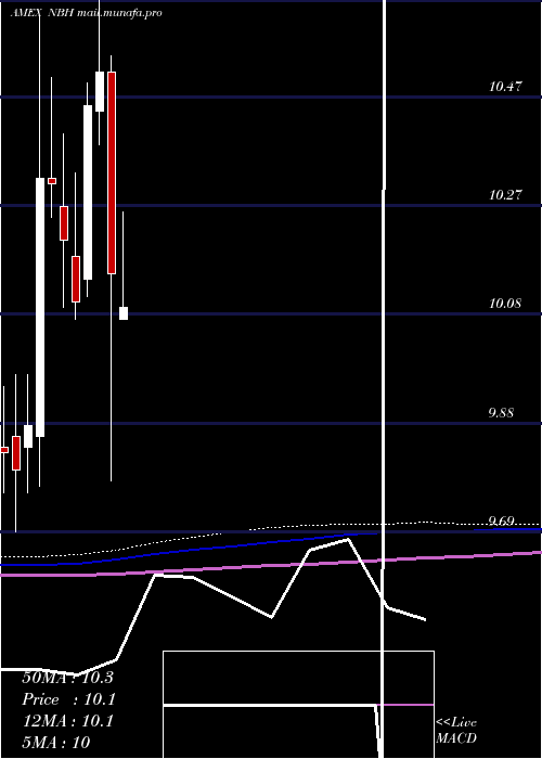  monthly chart NeubergerBerman