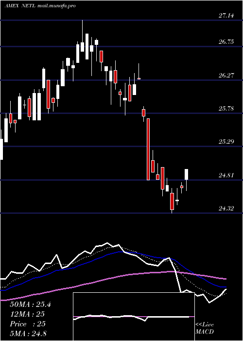  Daily chart NetleaseCorporate