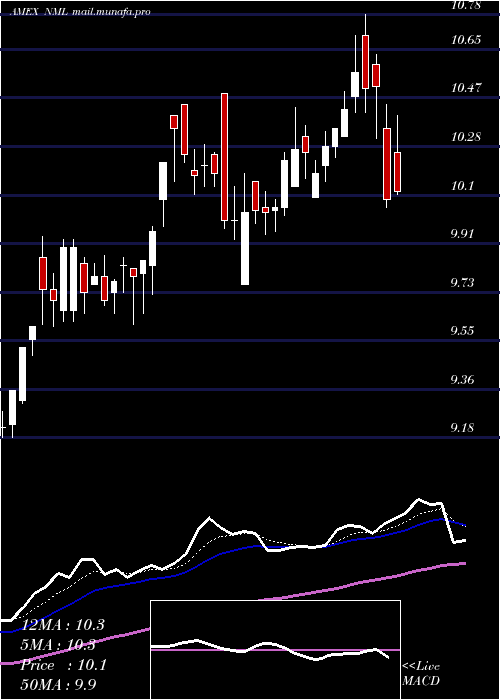  Daily chart NeubergerBerman