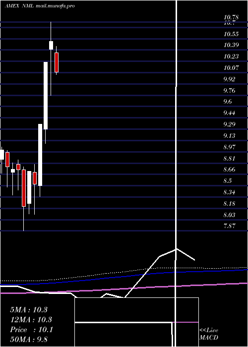  monthly chart NeubergerBerman