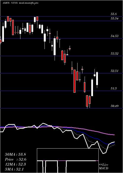  Daily chart Wisdomtree90