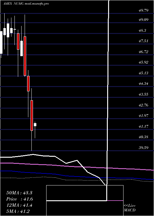  monthly chart NusharesEsg