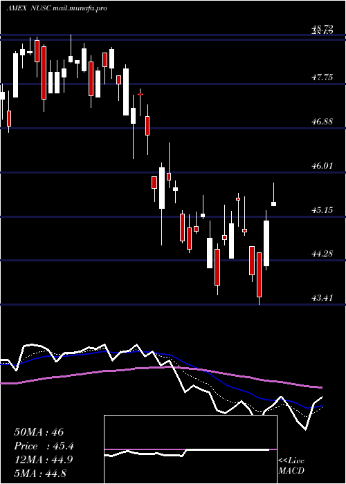  Daily chart NusharesEsg