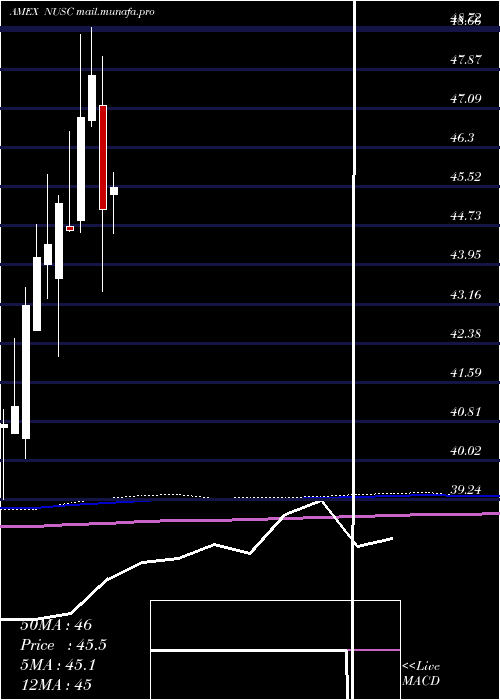  monthly chart NusharesEsg