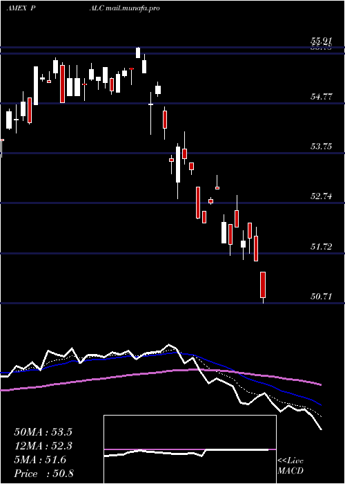  Daily chart PacerLarge