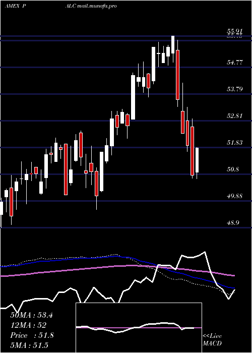  weekly chart PacerLarge