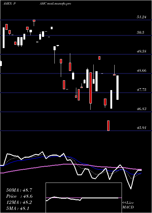  Daily chart PacerLunt
