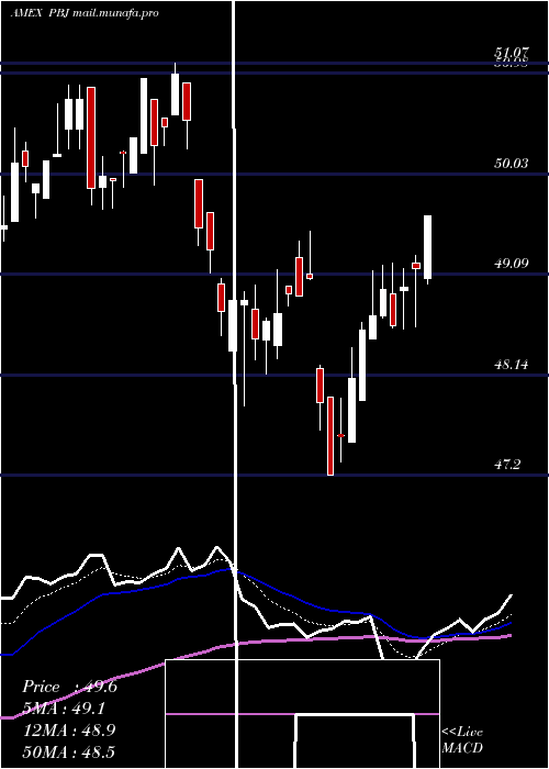  Daily chart DynamicFood