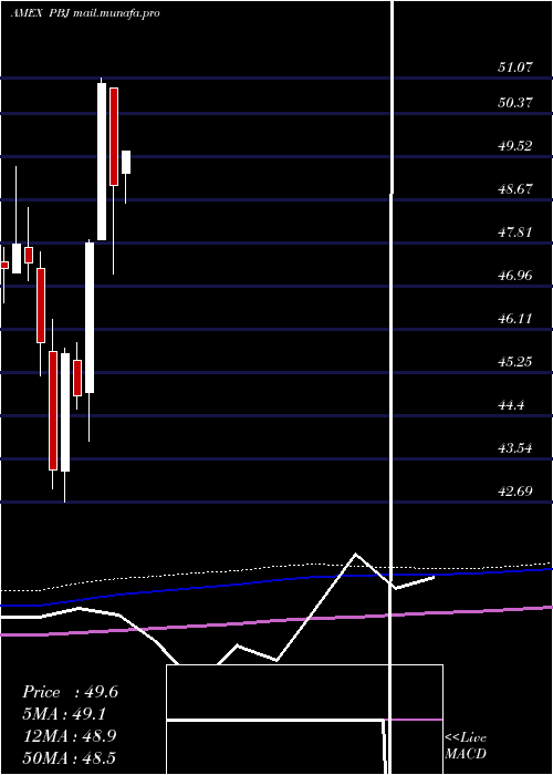  monthly chart DynamicFood