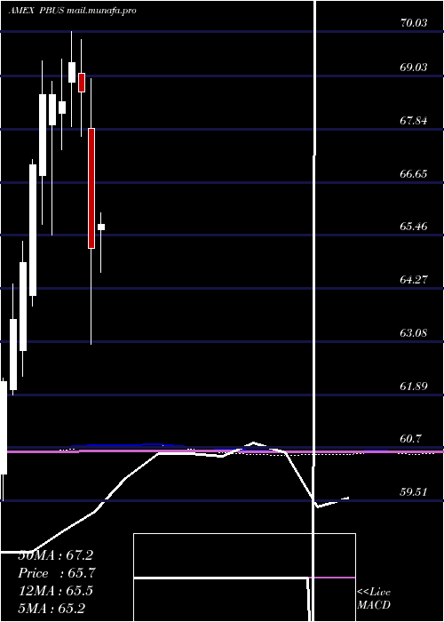  monthly chart PurebetasmMsci