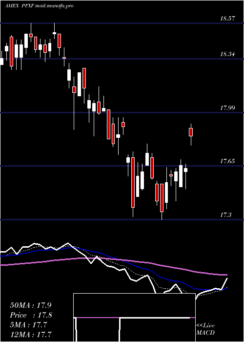  Daily chart MarketVectors