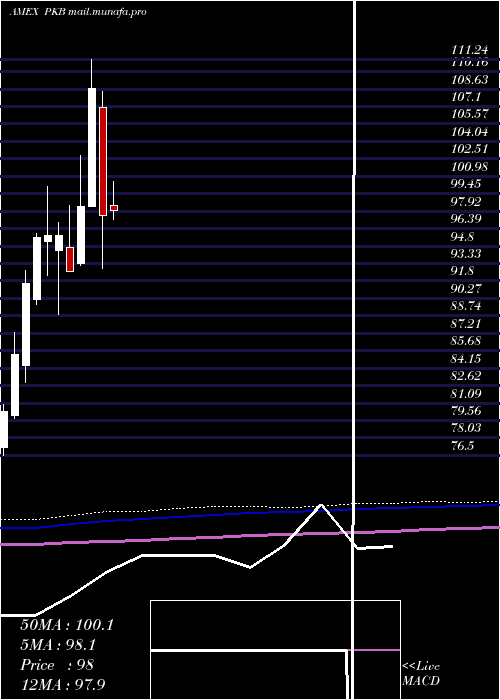  monthly chart DynamicBuilding