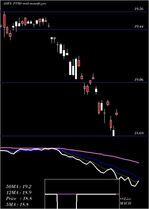  Daily chart PacerTrendpilot