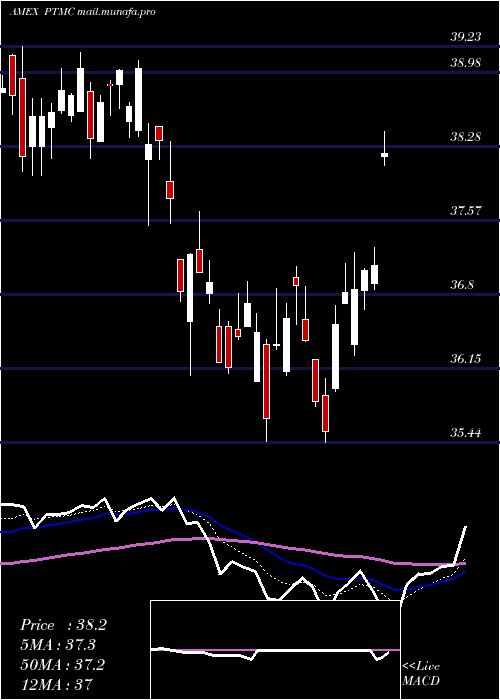  Daily chart PacerTrendpilot