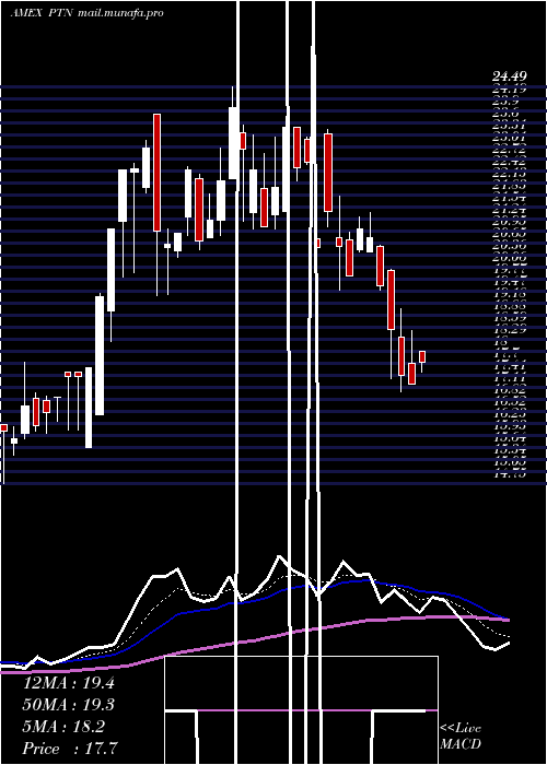  Daily chart PalatinTechnologies