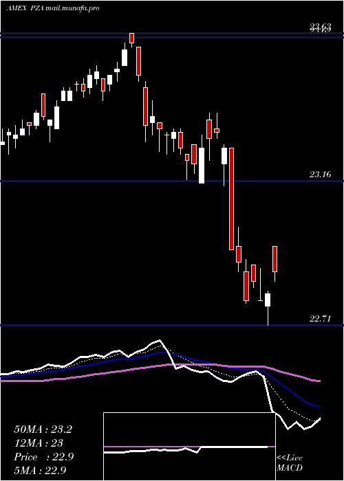  Daily chart InsuredNational