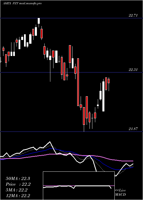  Daily chart InsuredNew