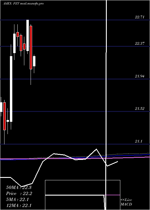  monthly chart InsuredNew