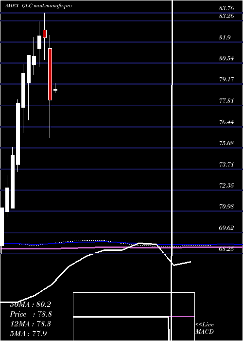  monthly chart FlexsharesUs